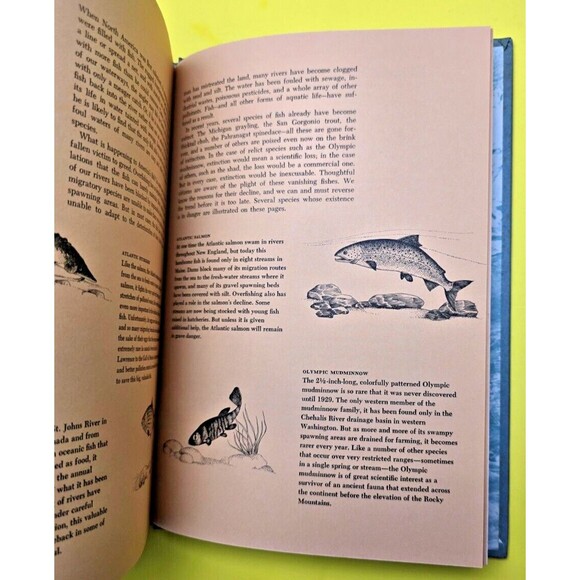 THE LIFE OF RIVERS AND STREAMS OUR LIVING WORLD OF NATURE SERIES 1967 b1 - Picture 3 of 15